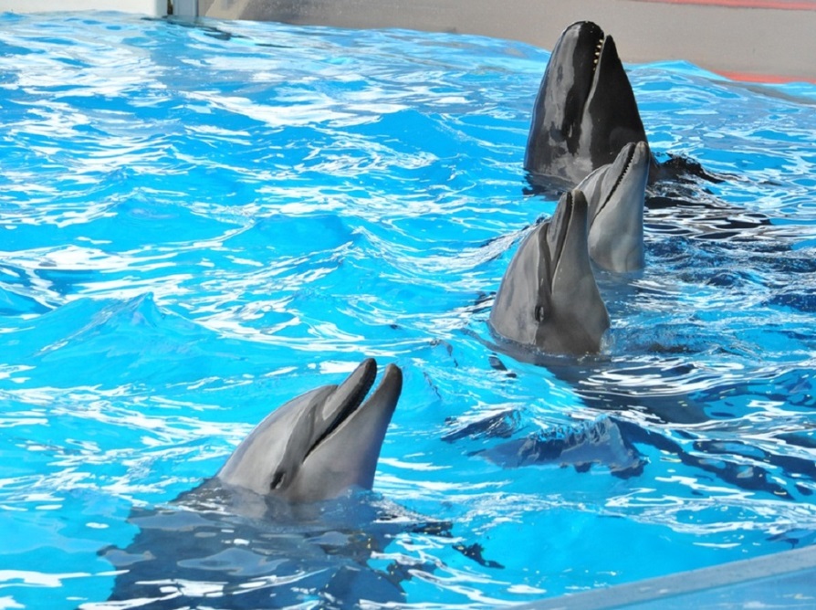 江ノ島の大人気スポット チケット付プラン ホテルサンライフガーデン 公式