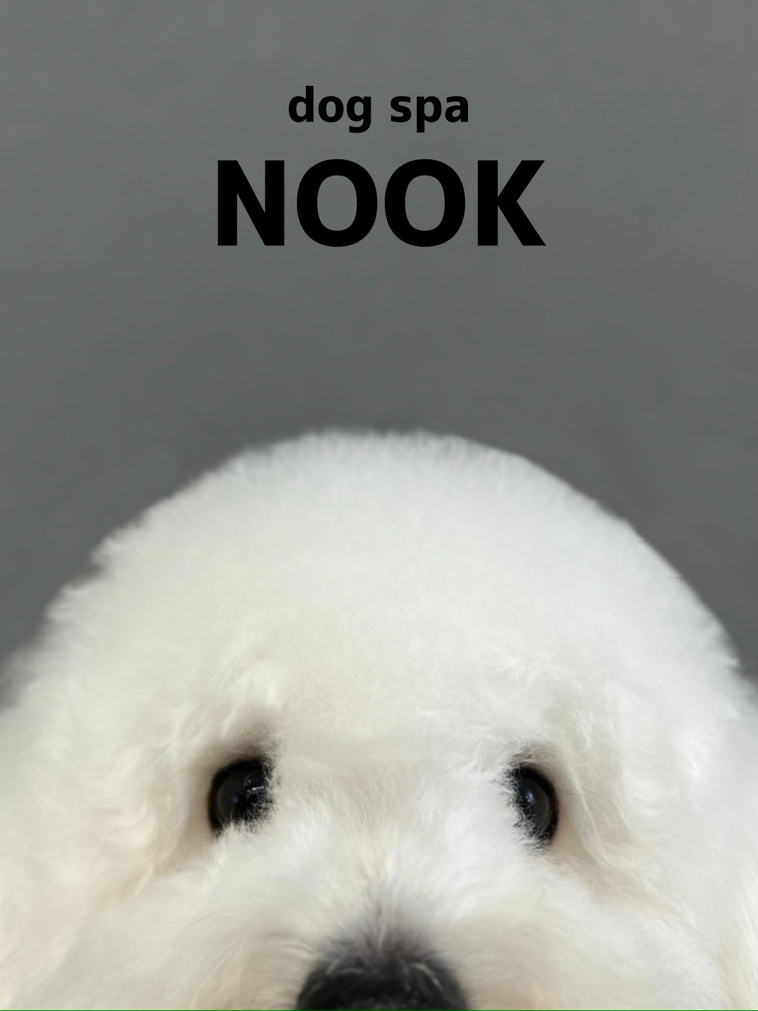 dogspanook